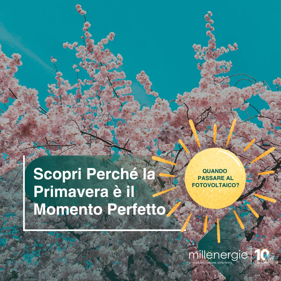 Primavera Fotovoltaico