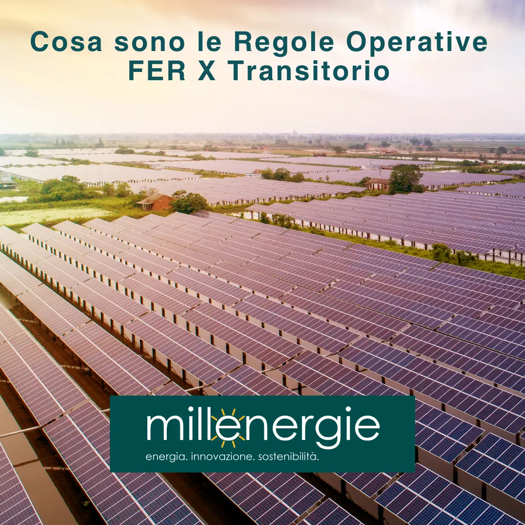 Regole Operative FER