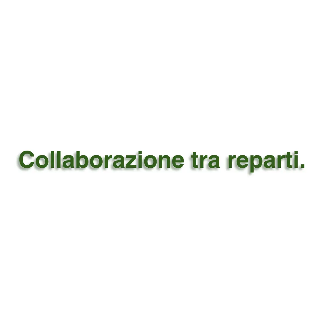 Valori interni