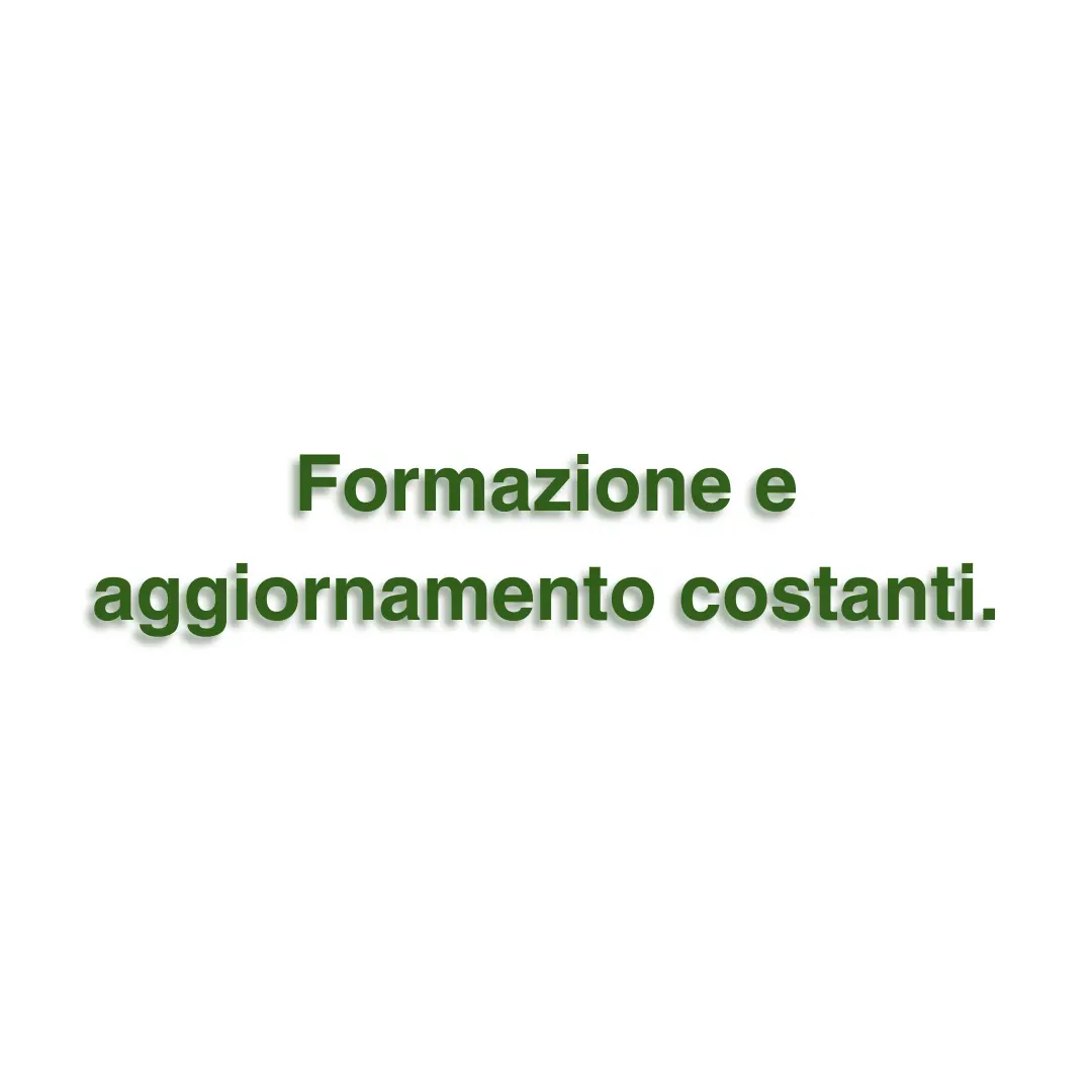 Valori interni